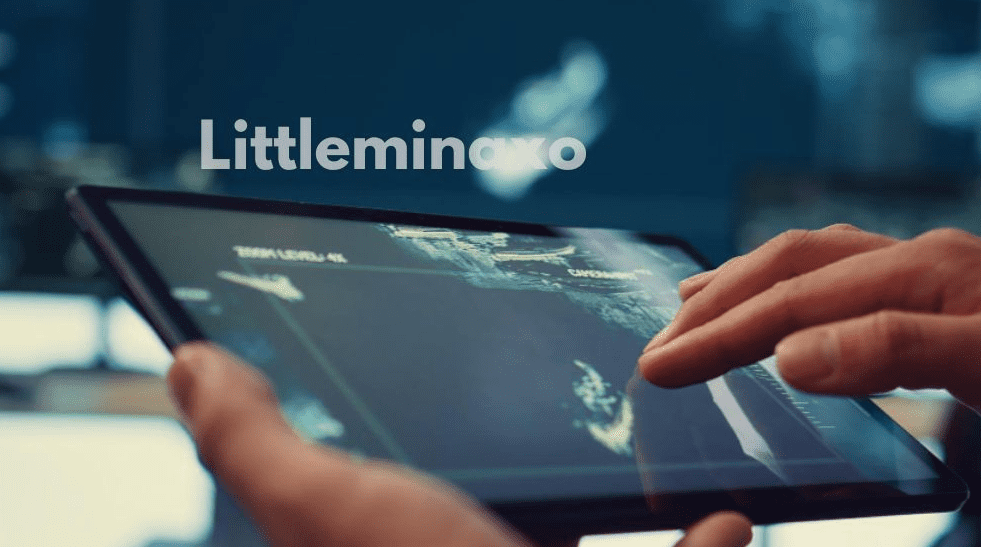 Littleminaxo: The Full Story of a Digital Creator's Rise 