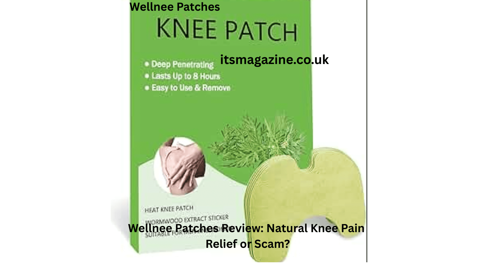 Wellnee Patches Review: Natural Knee Pain Relief or Scam?